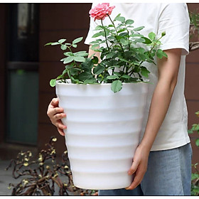 Combo từ 1 đén 2 chậu vòng tròn trồng cây cảnh bằng nhựa ABS bóng cao cấp M 32 cm x C 35cm Màu trắng