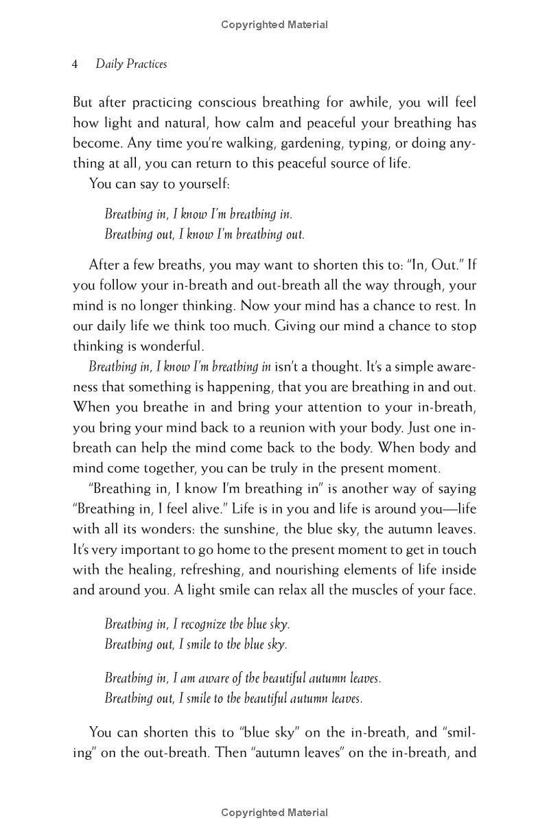 Happiness - Essential Mindfulness Practices