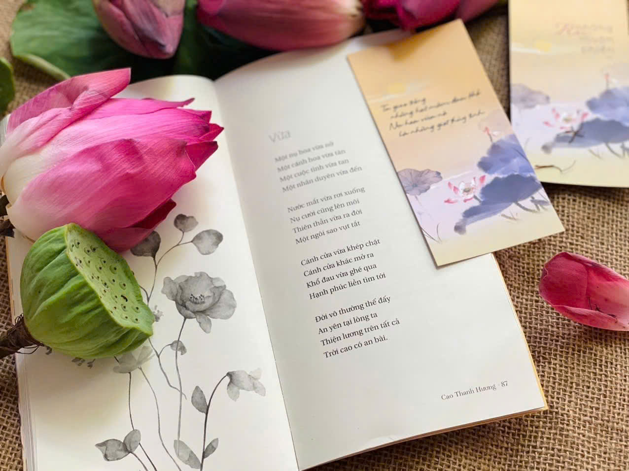 Sách - Ru Những Muộn Phiền - An Thư Book