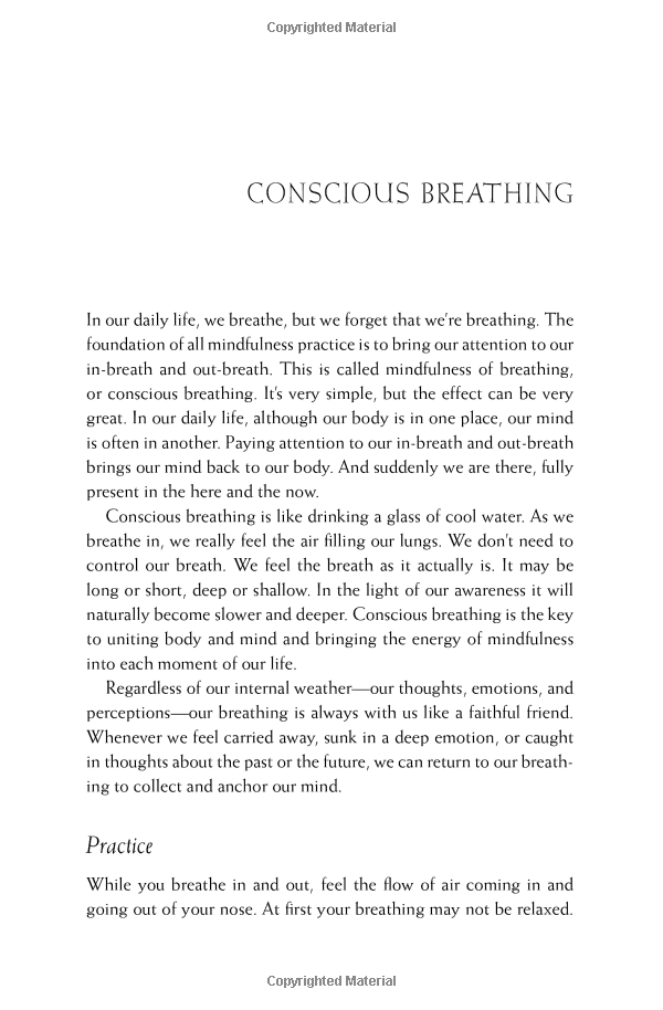 Happiness - Essential Mindfulness Practices