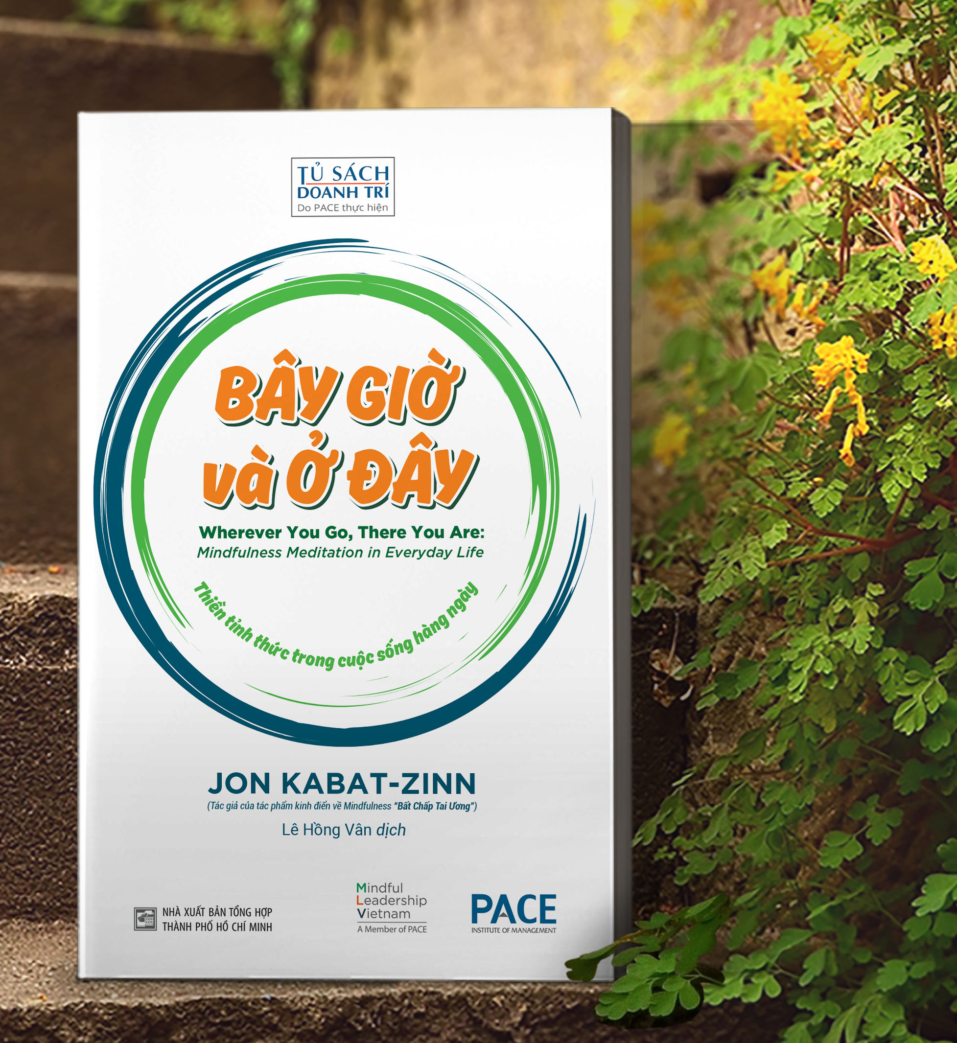 Bây giờ và Ở đây - PACE185