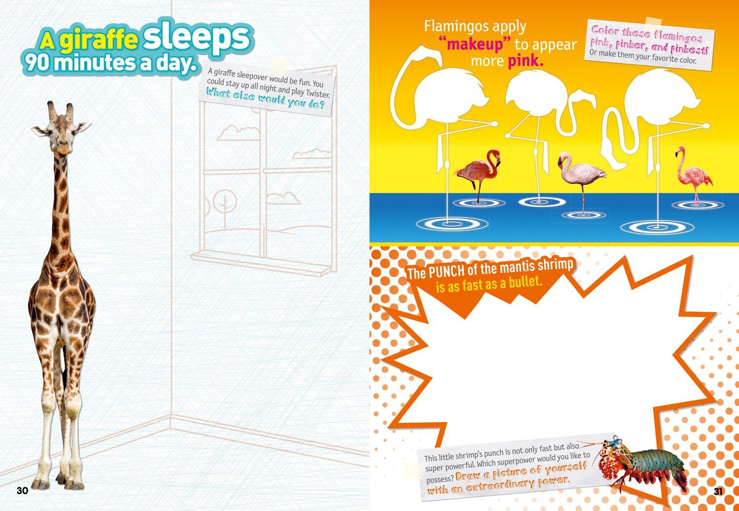 Weird But True! Sticker Doodle Book: Outrageous Facts, Awesome Activities, Plus Cool Stickers For Tons Of Wacky Fun!