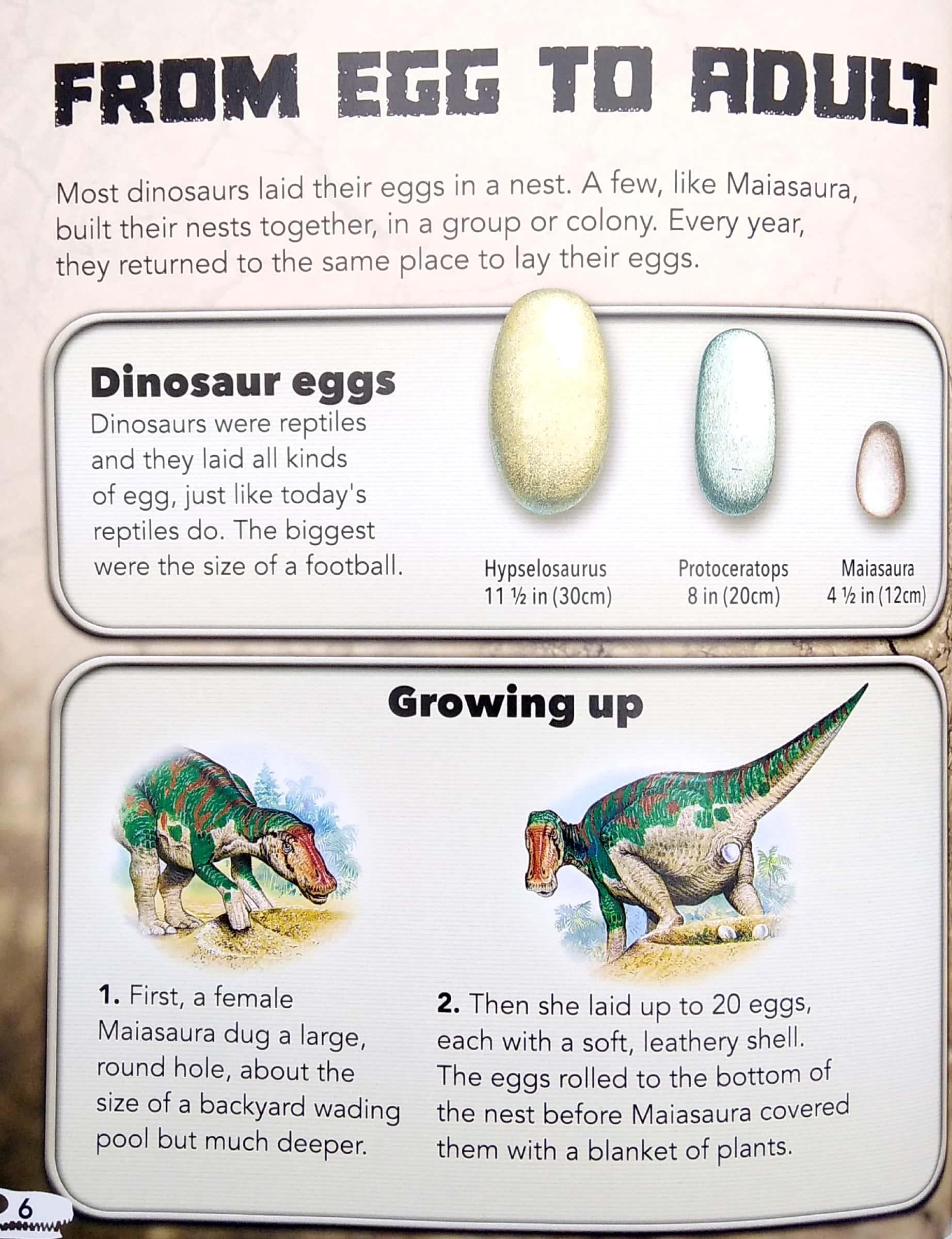 My Best Book Of Dinosaurs