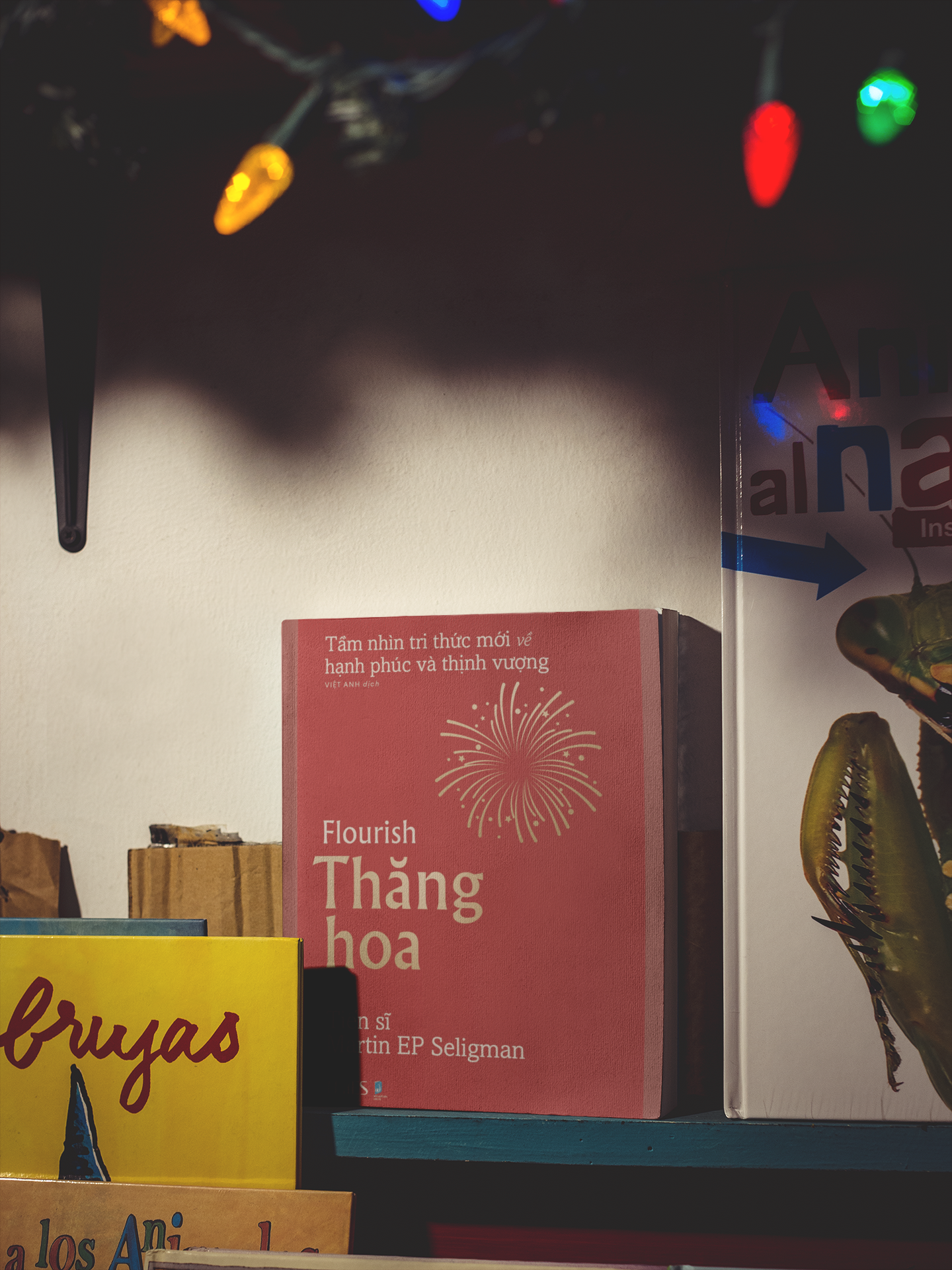 Sách - Thăng Hoa: Tầm nhìn tri thức mới về hạnh phúc và thịnh vượng - TIMES BOOKS