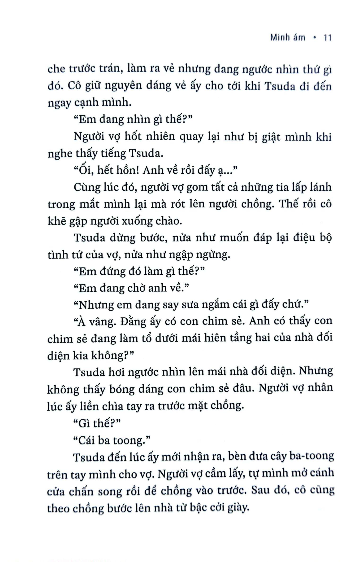 Sách - Minh Ám - Bìa Cứng
