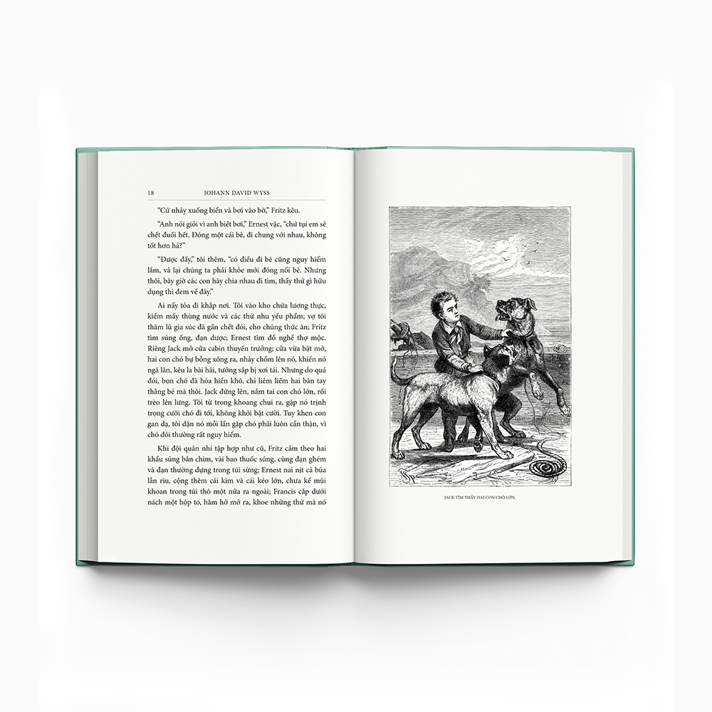 Gia Đình Robinson Thụy Sỹ - Ấn Bản Cao Cấp - Bìa Vải