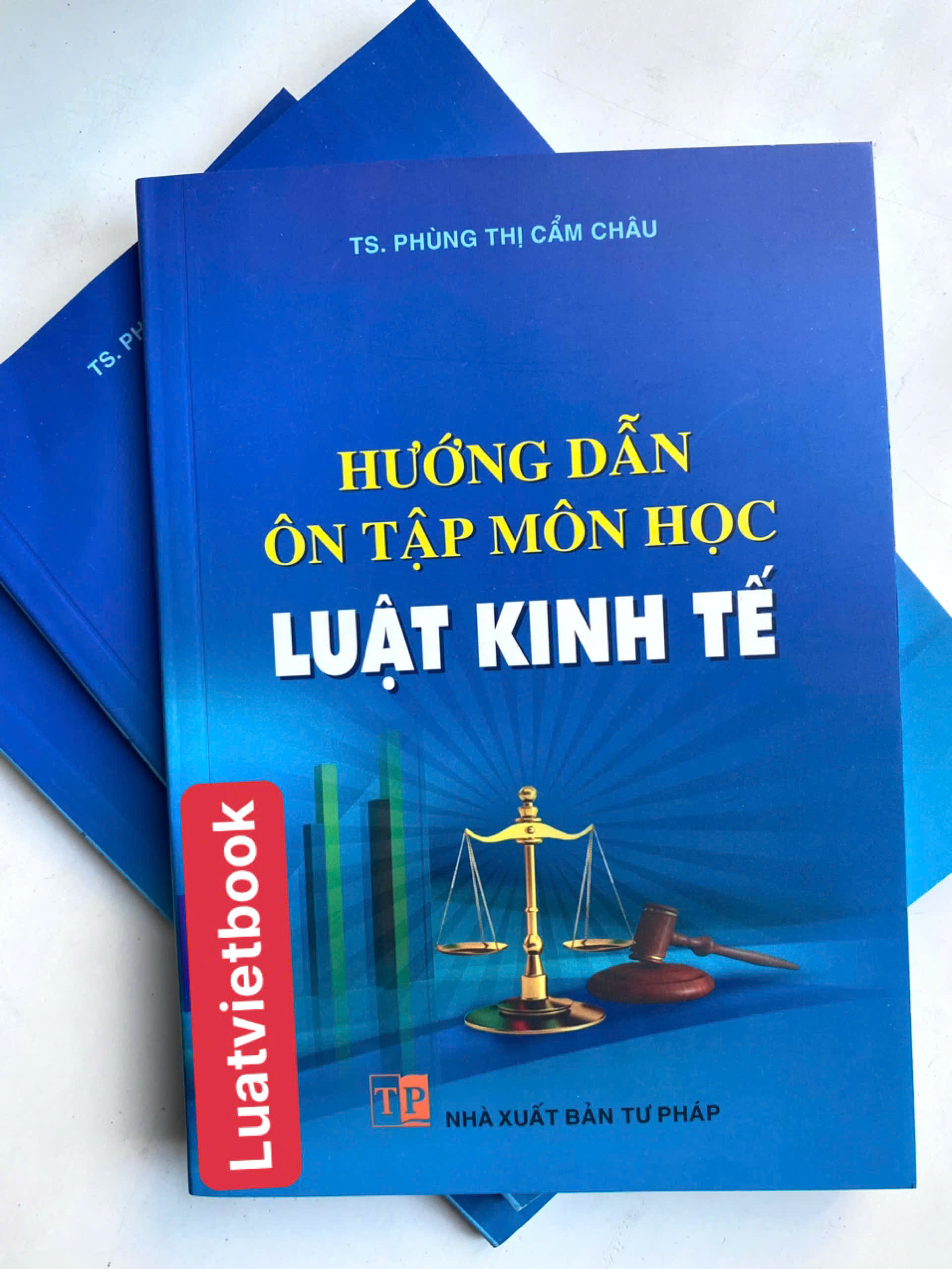 Hướng Dẫn Ôn Tập Môn Học Luật Kinh Tế