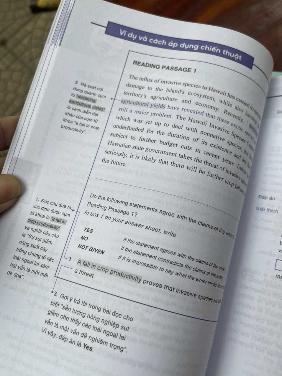 Combo 4 cuốn HACKERS IELTS BASIC - Bộ sách luyện thi IELTS dành cho người mới bắt đầu có kèm giải thích đáp án chi tiết (Listening - Reading - Speaking – Writing) – Alphabooks – NXB Thế Giới (bìa mềm)