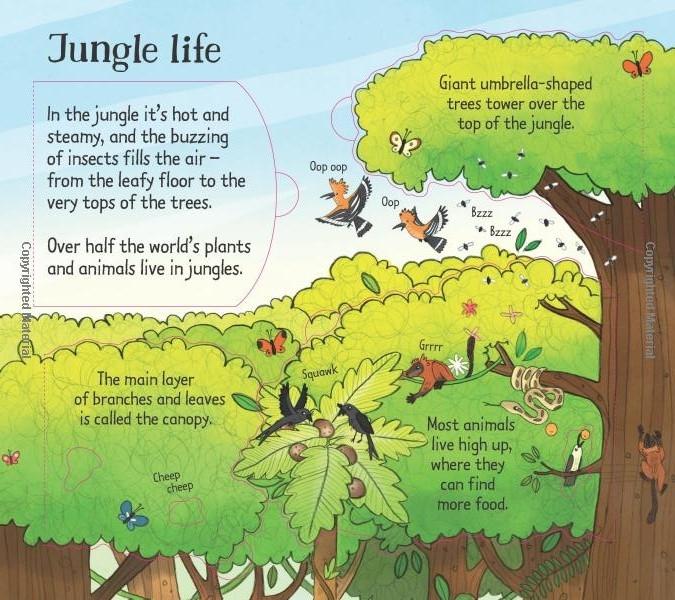 Sách tương tác tiếng Anh - Usborne Look inside the Jungle